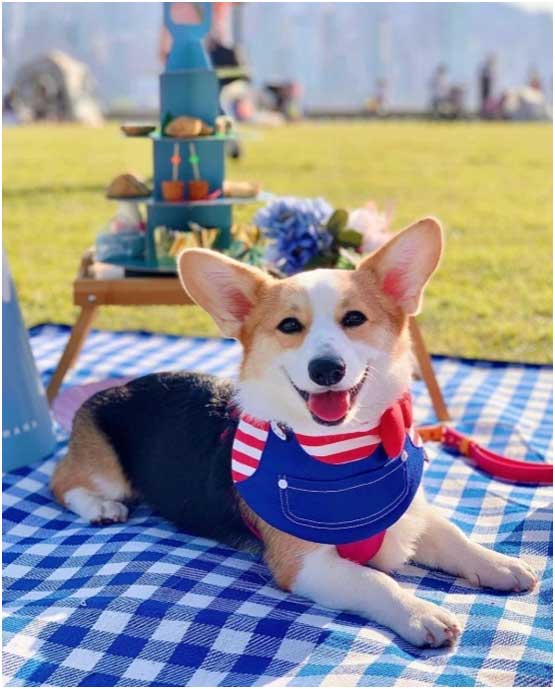 西九龍海濱長廊